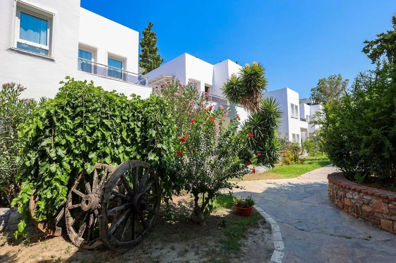 Sapphire Club Hotel Bodrum 4*,  Türkiye